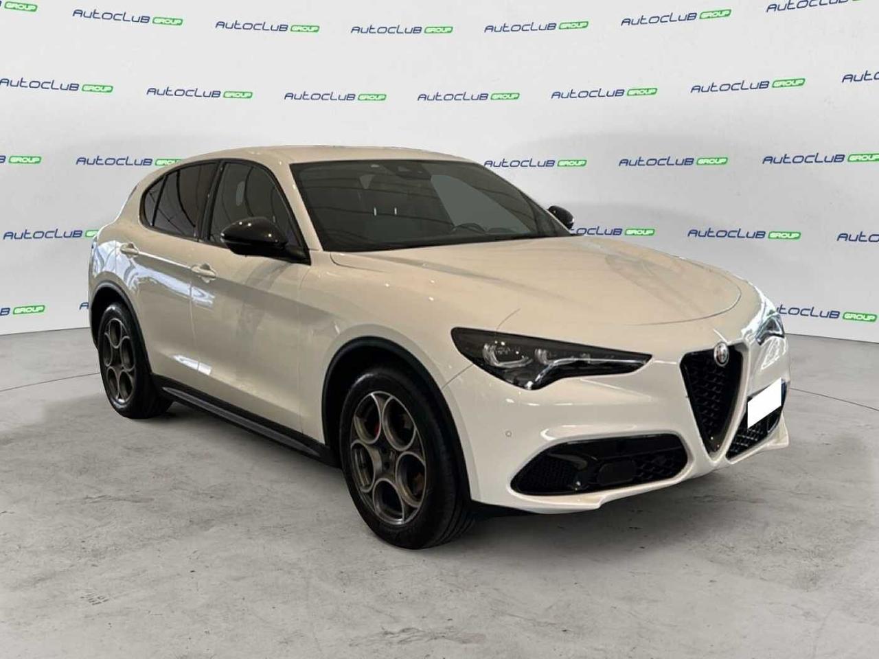 Alfa Romeo Alfa Romeo Stelvio usata 17