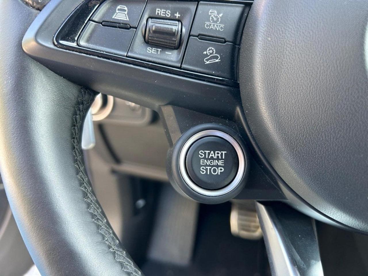 Alfa Romeo Alfa Romeo Stelvio usata 9