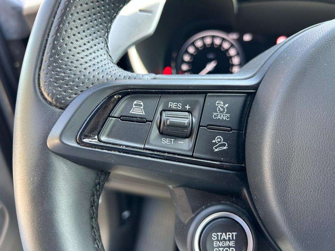 Alfa Romeo Alfa Romeo Stelvio usata 10