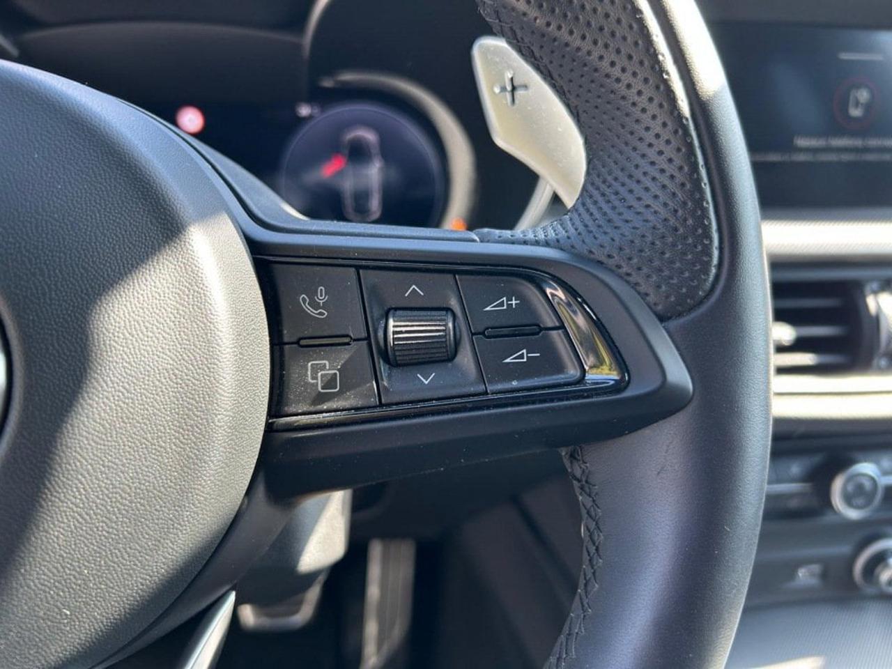 Alfa Romeo Alfa Romeo Stelvio usata 13