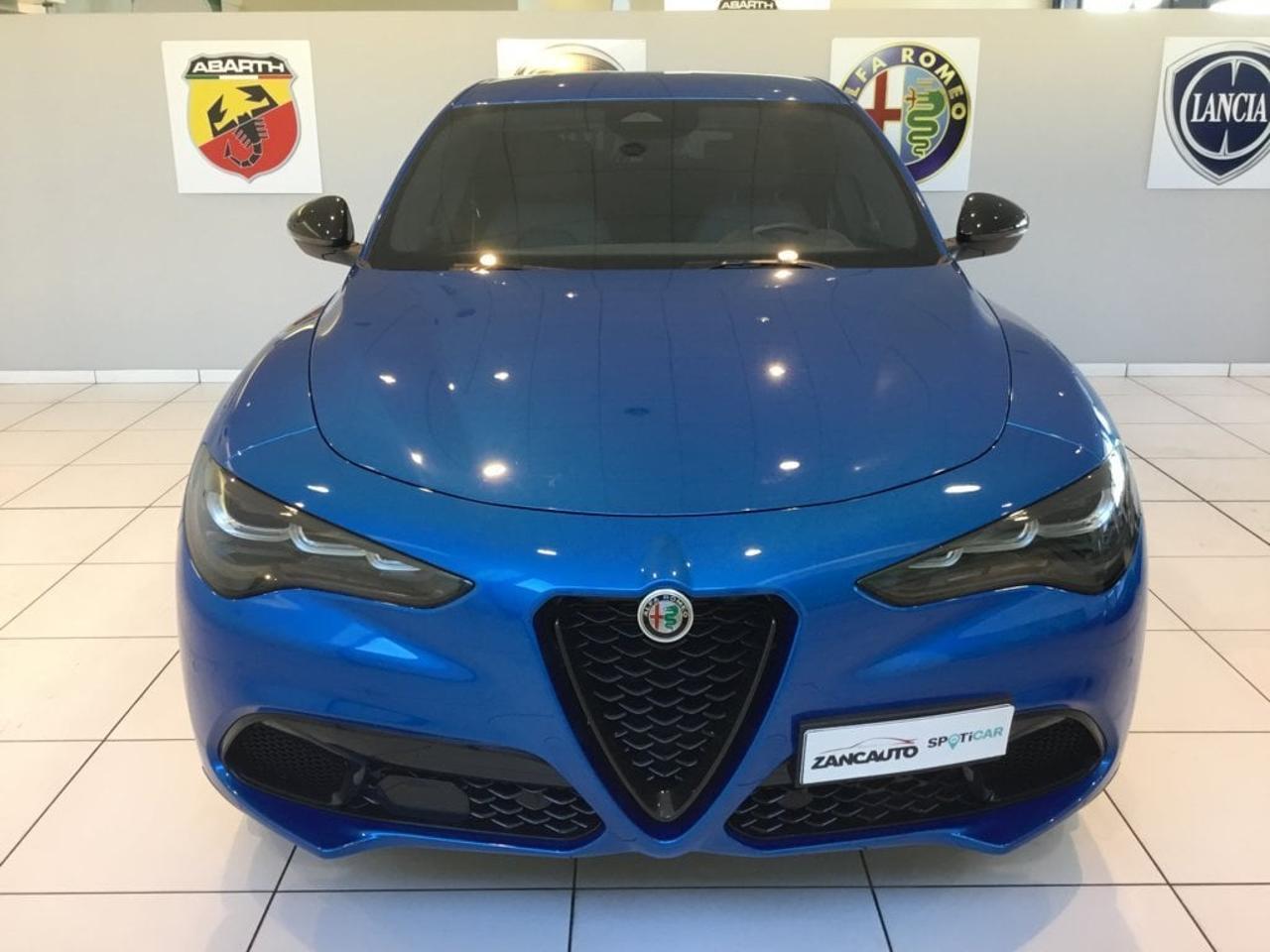 Alfa Romeo Alfa Romeo Stelvio usata 9