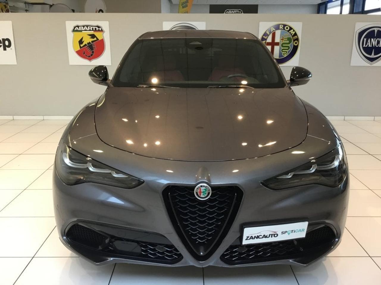 Alfa Romeo Alfa Romeo Stelvio usata 15