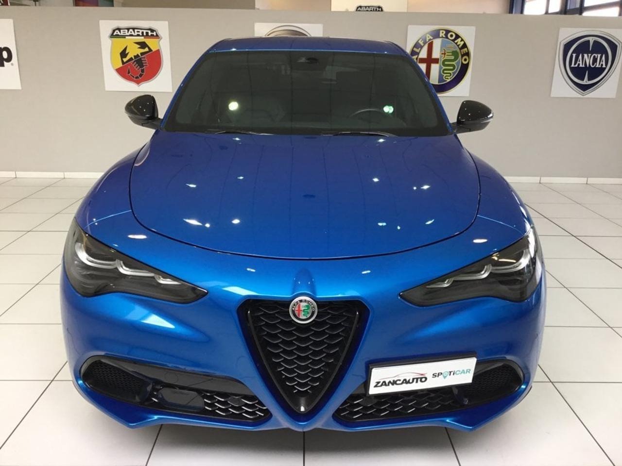 Alfa Romeo Alfa Romeo Stelvio usata 9