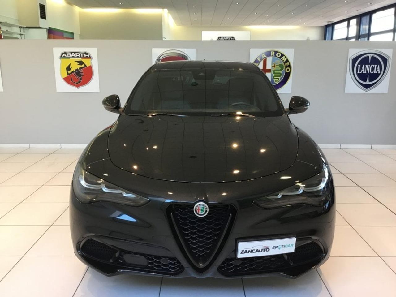 Alfa Romeo Alfa Romeo Stelvio usata 9