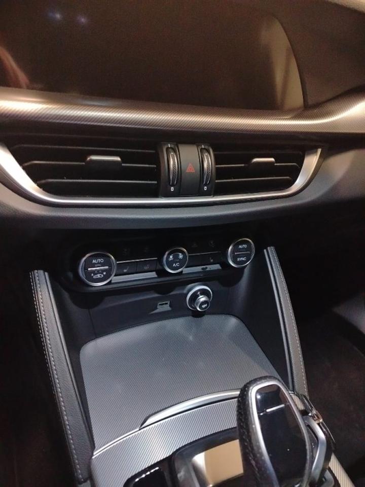 Alfa Romeo Alfa Romeo Stelvio usata 14