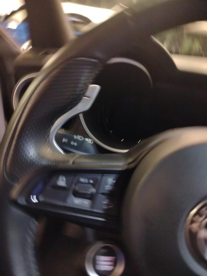 Alfa Romeo Alfa Romeo Stelvio usata 17