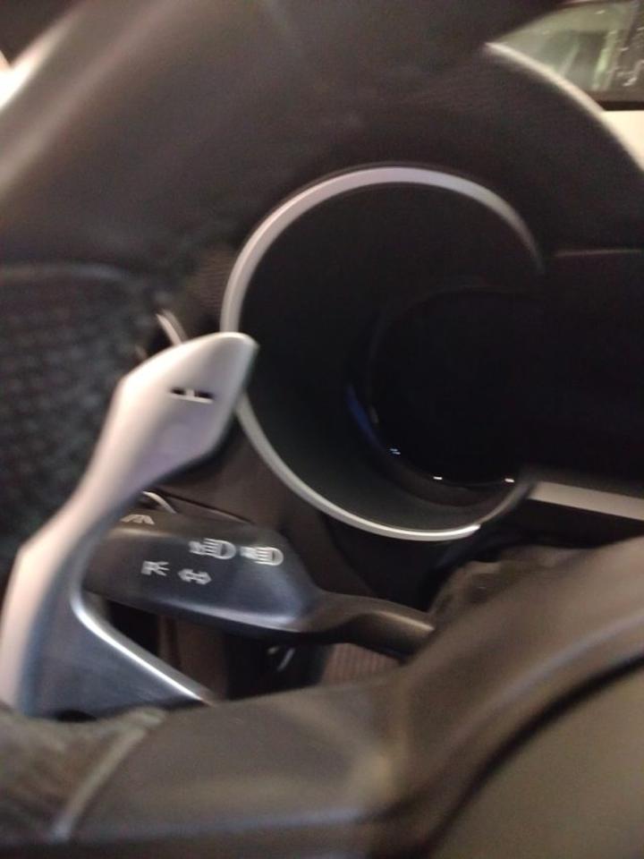 Alfa Romeo Alfa Romeo Stelvio usata 19