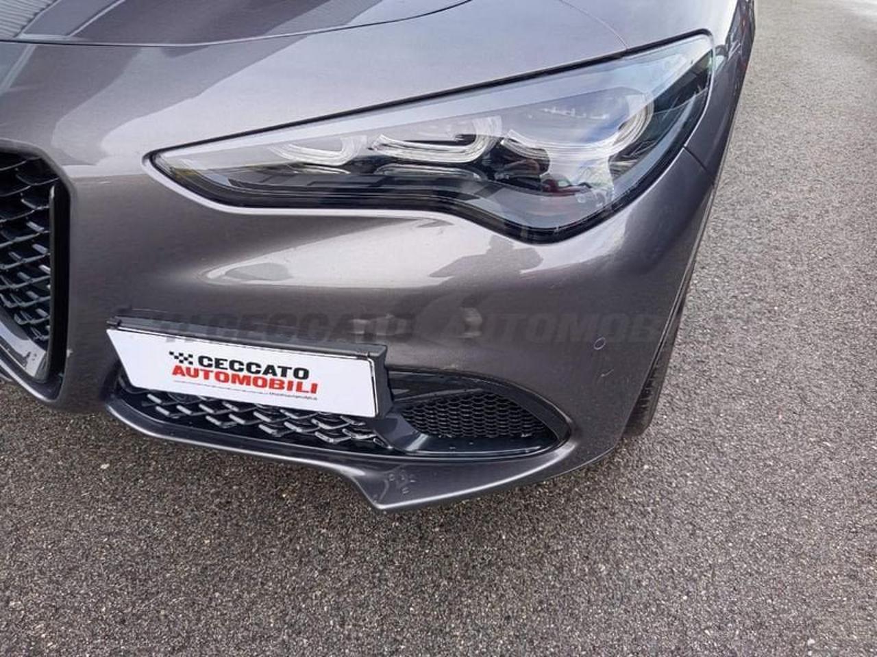 Alfa Romeo Alfa Romeo Stelvio usata 9