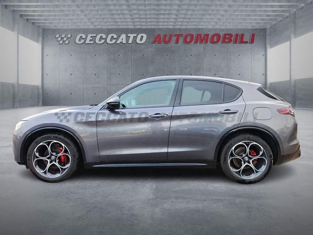 Alfa Romeo Alfa Romeo Stelvio usata 11
