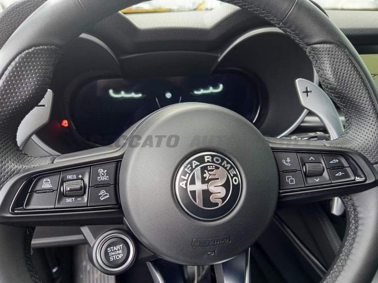 Alfa Romeo Alfa Romeo Stelvio usata 14
