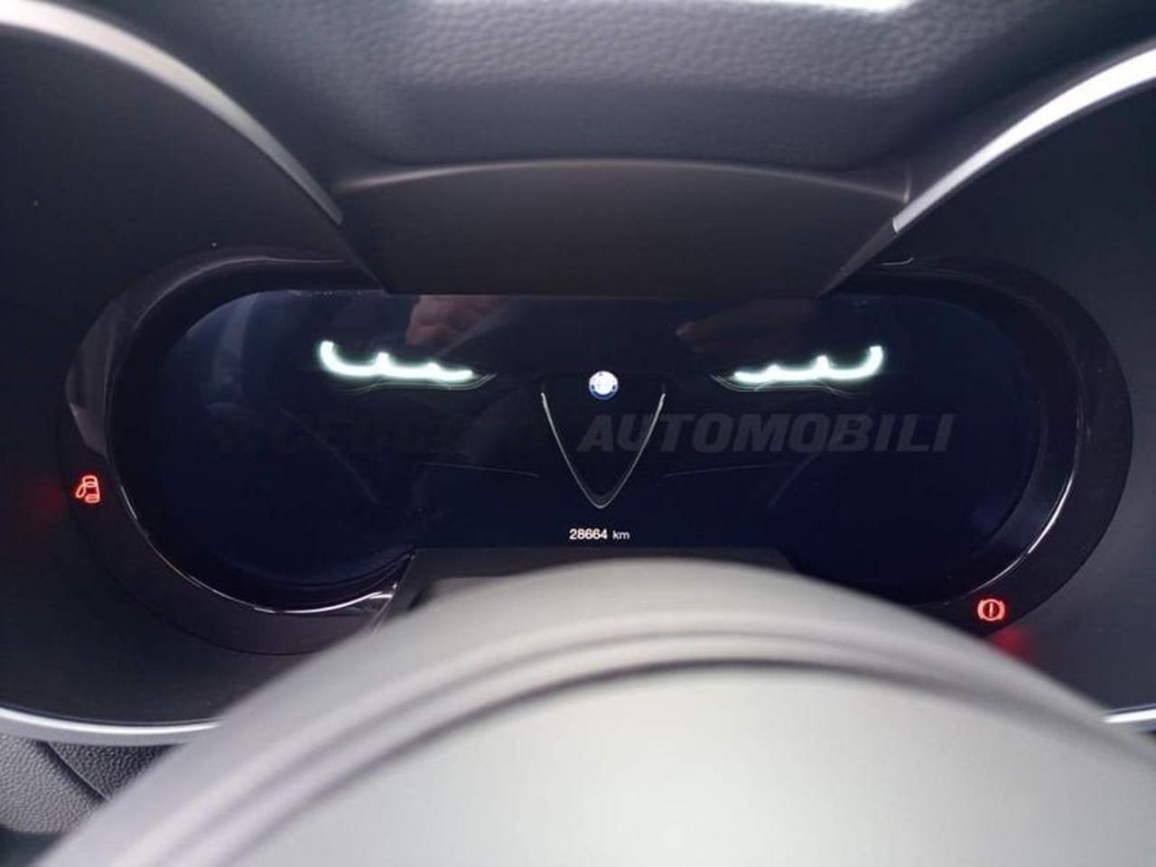 Alfa Romeo Alfa Romeo Stelvio usata 15