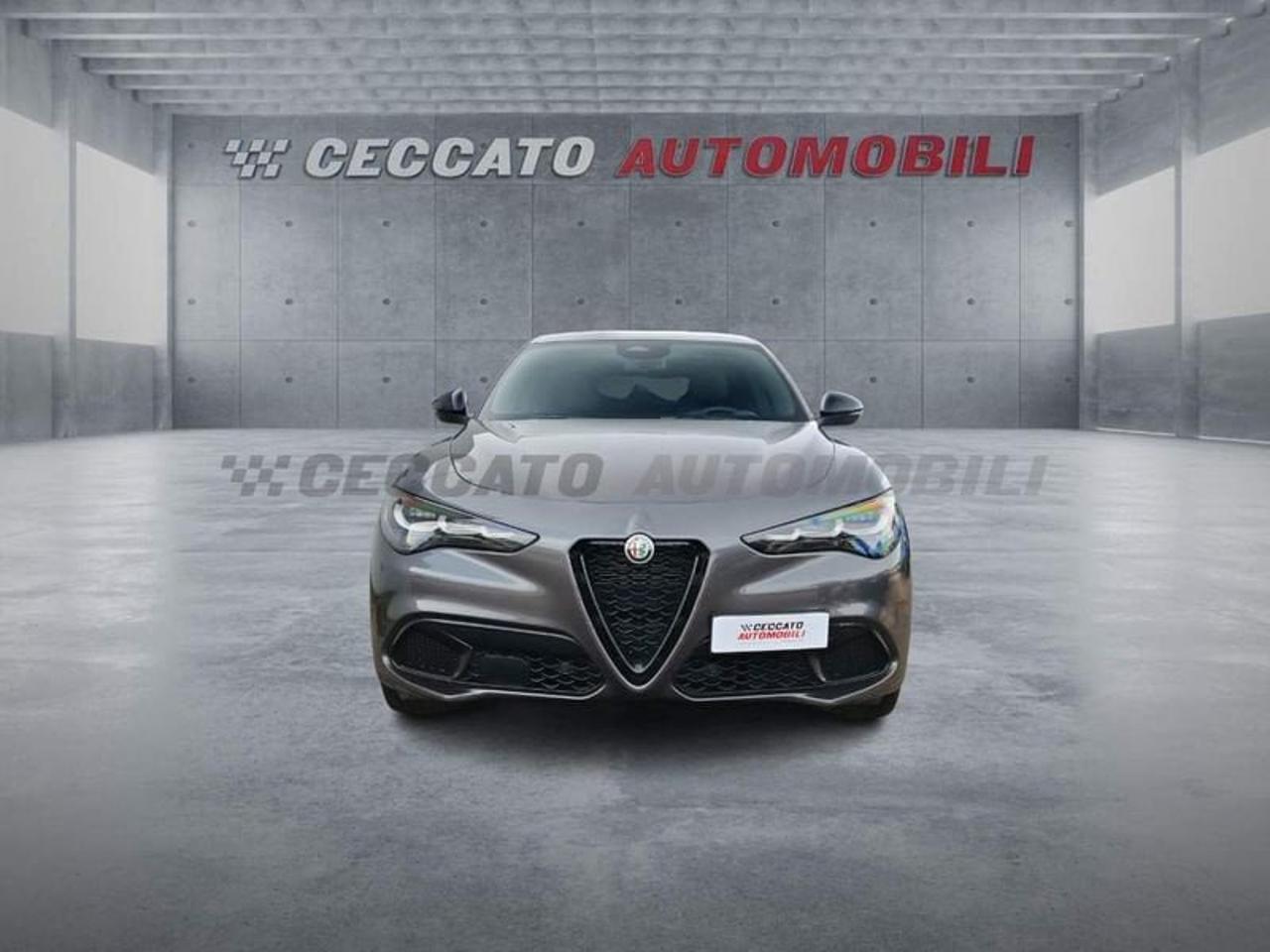 Alfa Romeo Alfa Romeo Stelvio usata 21
