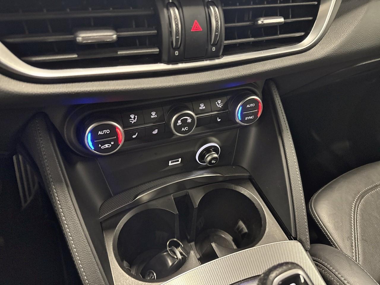 Alfa Romeo Alfa Romeo Stelvio usata 5