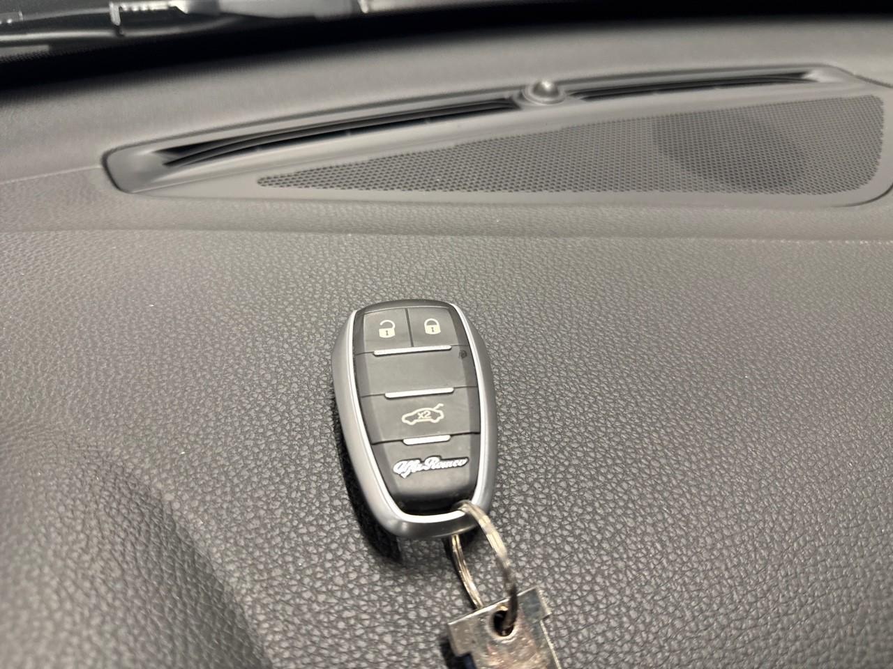 Alfa Romeo Alfa Romeo Stelvio usata 10