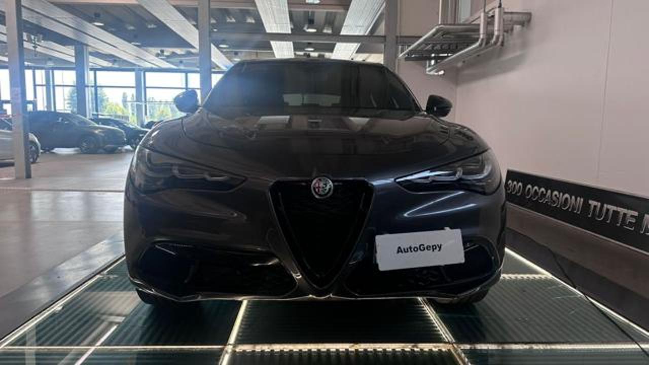 Alfa Romeo Alfa Romeo Stelvio usata 11