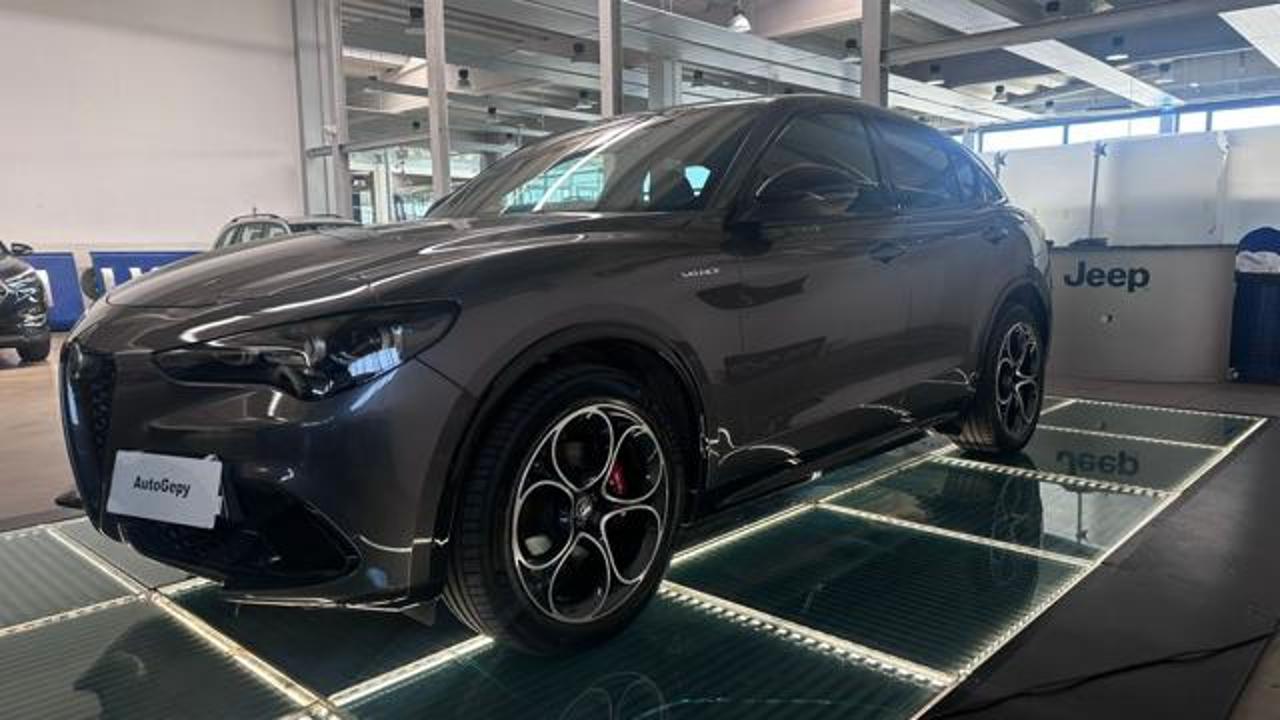Alfa Romeo Alfa Romeo Stelvio usata 13