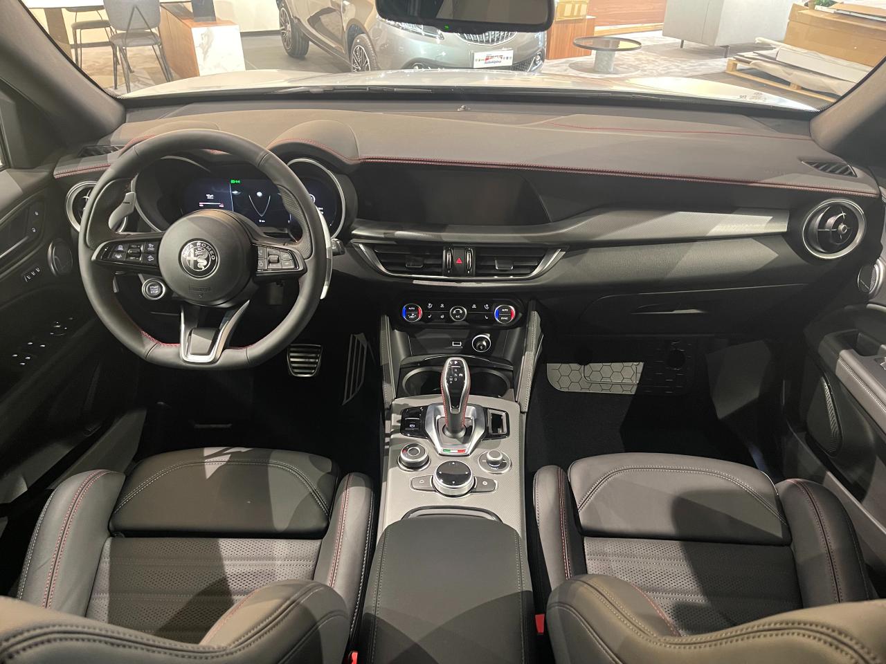 Alfa Romeo Alfa Romeo Stelvio usata 1