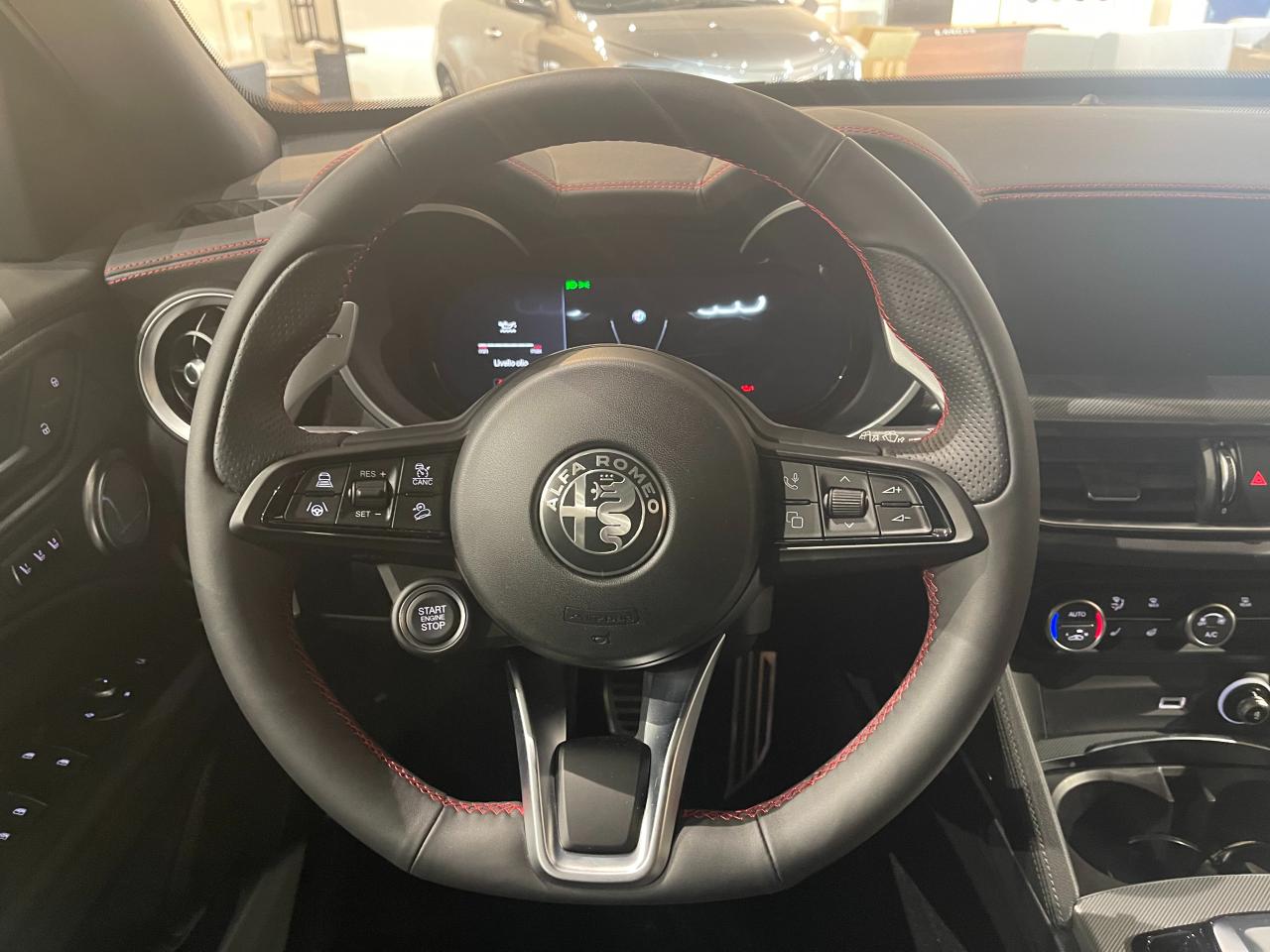 Alfa Romeo Alfa Romeo Stelvio usata 2
