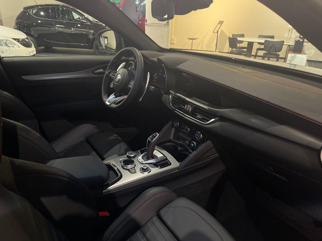 Alfa Romeo Alfa Romeo Stelvio usata 5