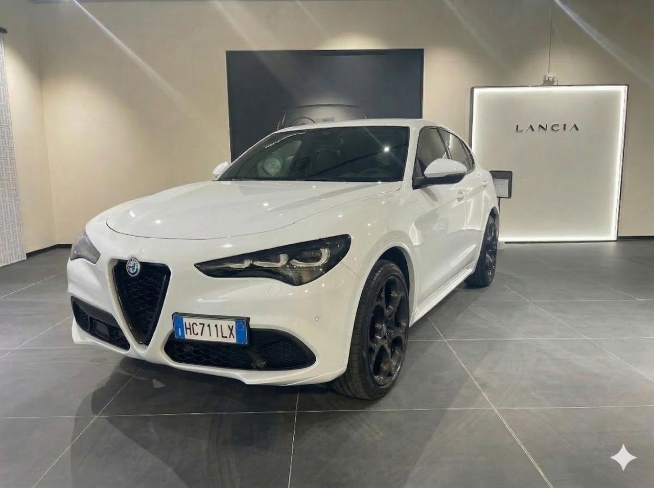 Alfa Romeo Alfa Romeo Stelvio usata 8