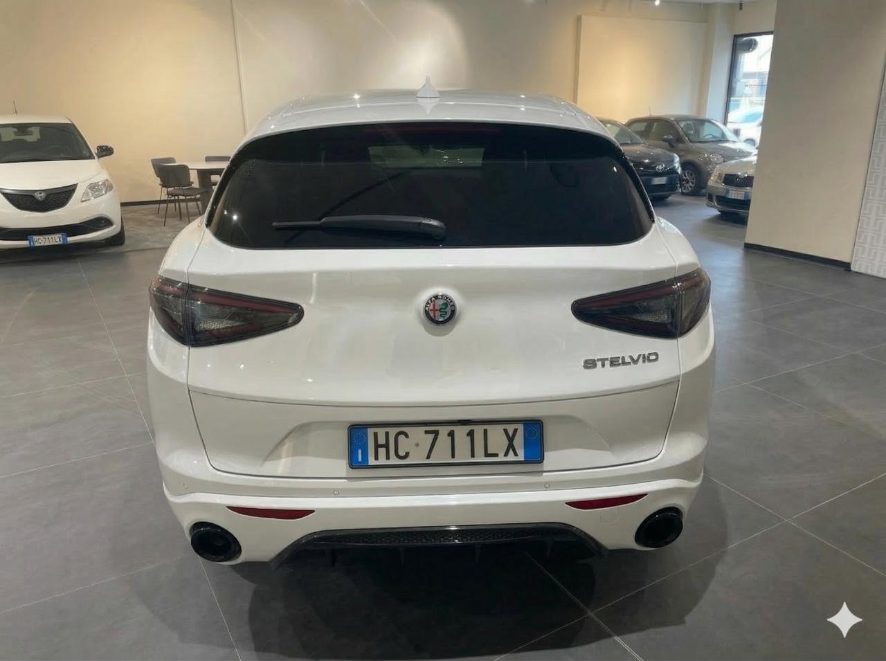 Alfa Romeo Alfa Romeo Stelvio usata 12