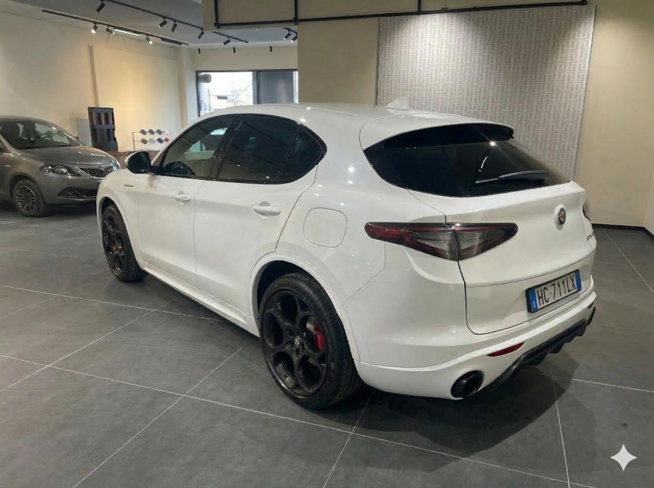 Alfa Romeo Alfa Romeo Stelvio usata 13