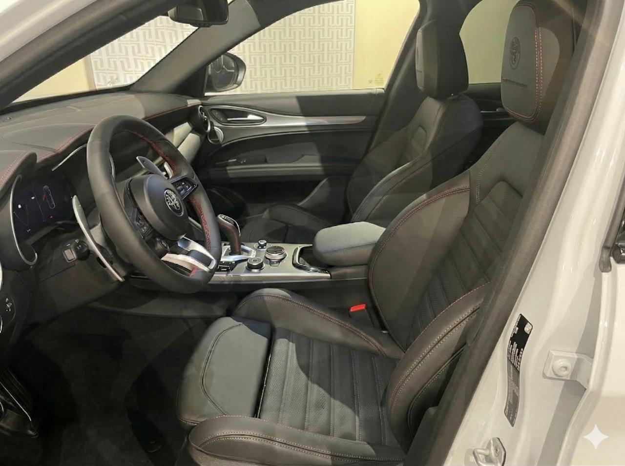 Alfa Romeo Alfa Romeo Stelvio usata 14