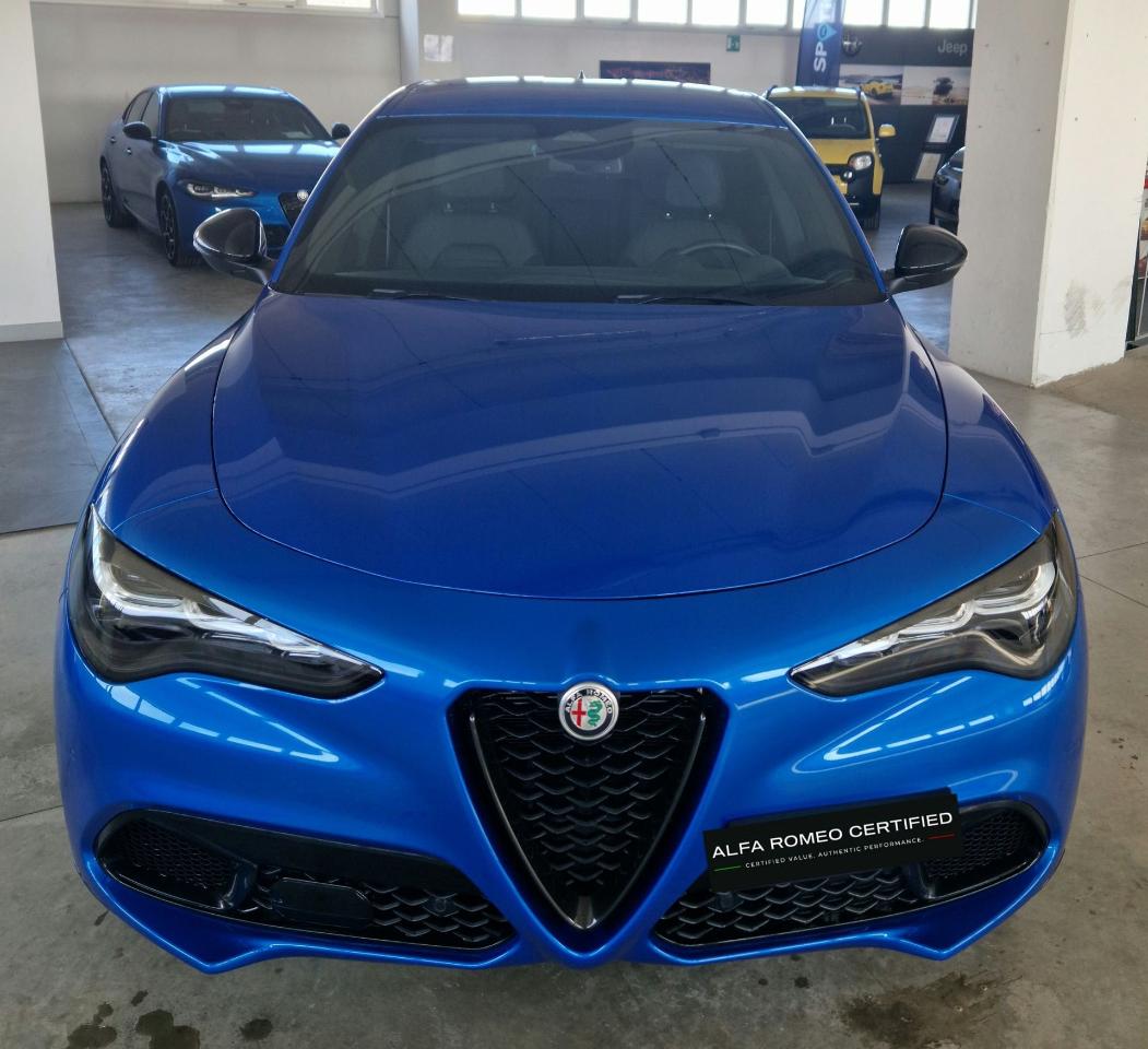 Alfa Romeo Alfa Romeo Stelvio usata 11
