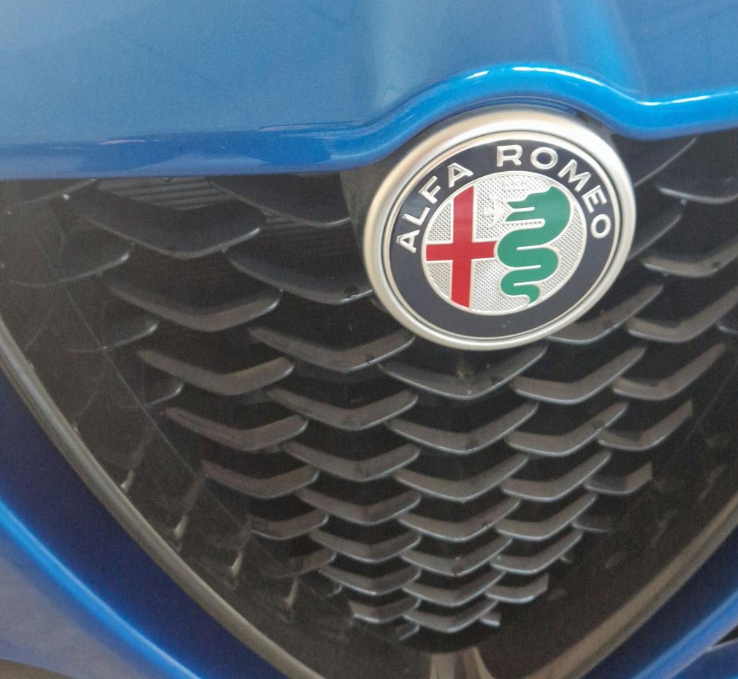 Alfa Romeo Alfa Romeo Stelvio usata 12