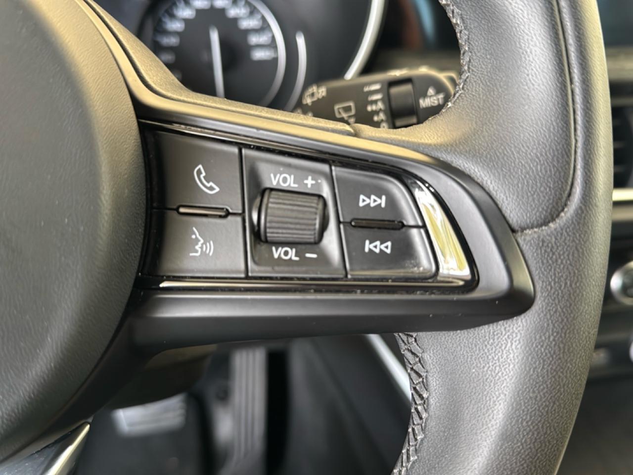 Alfa Romeo Alfa Romeo Stelvio usata 13