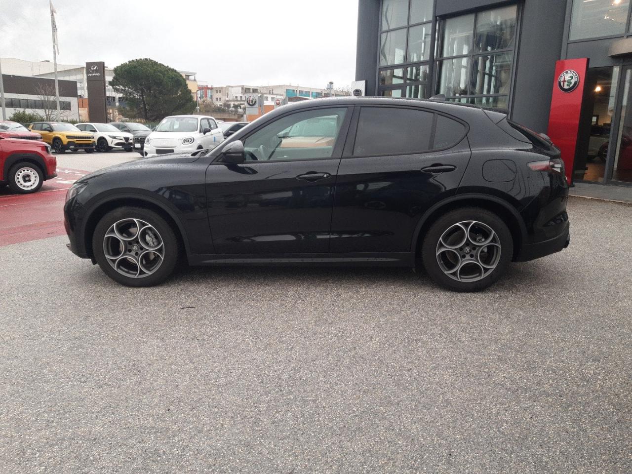 Alfa Romeo Alfa Romeo Stelvio usata 11