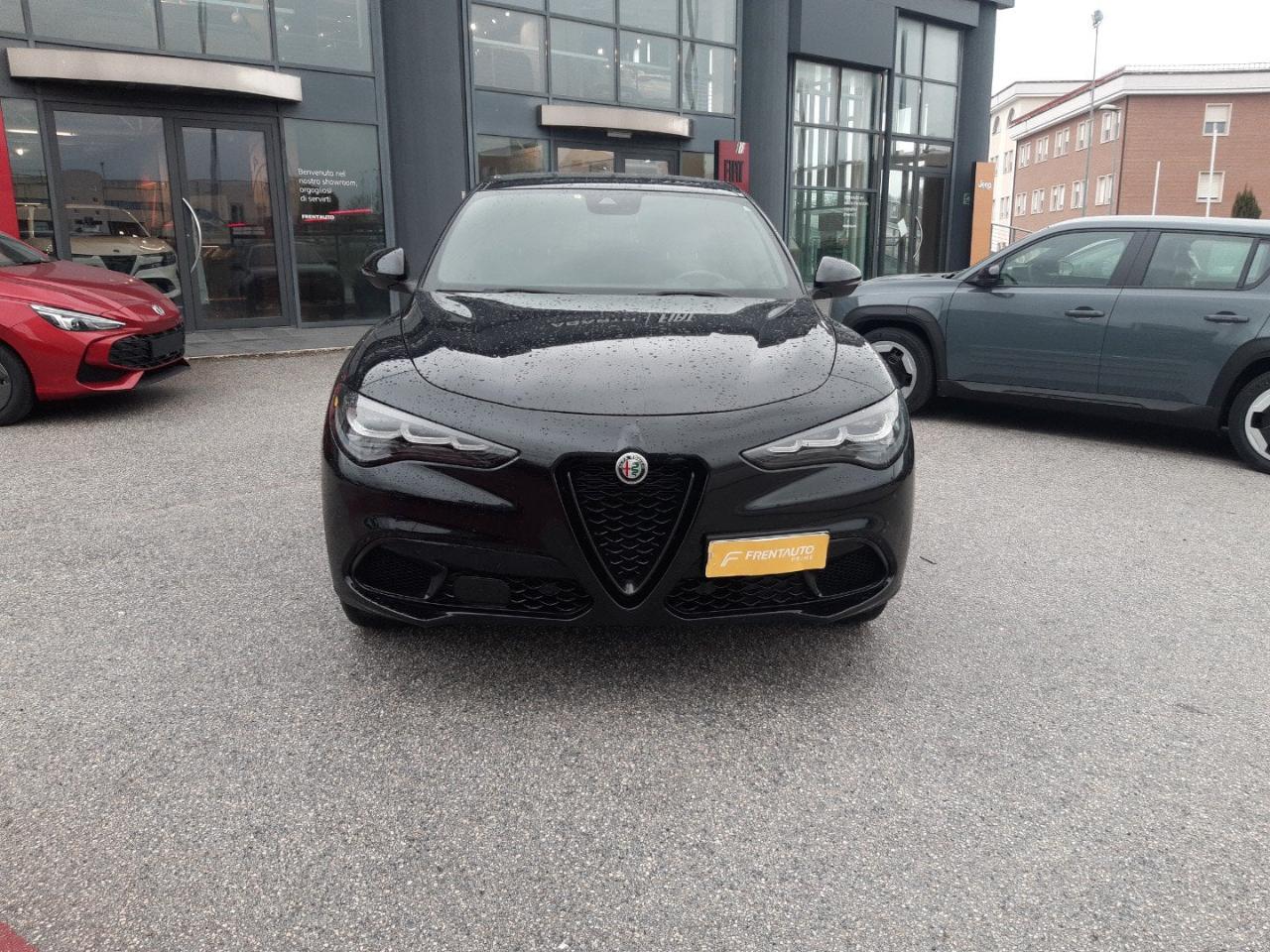 Alfa Romeo Alfa Romeo Stelvio usata 19