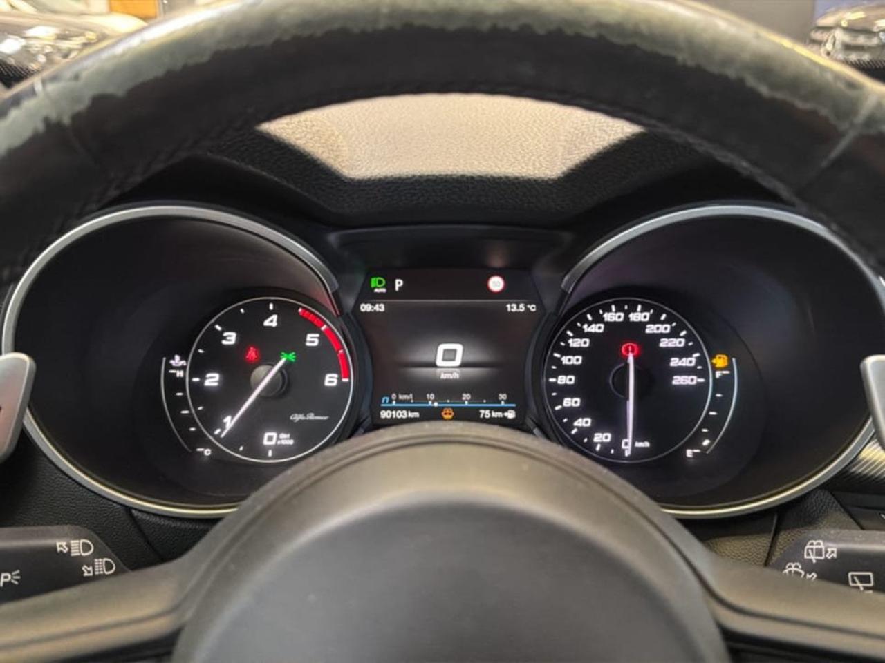 Alfa Romeo Alfa Romeo Stelvio usata 9