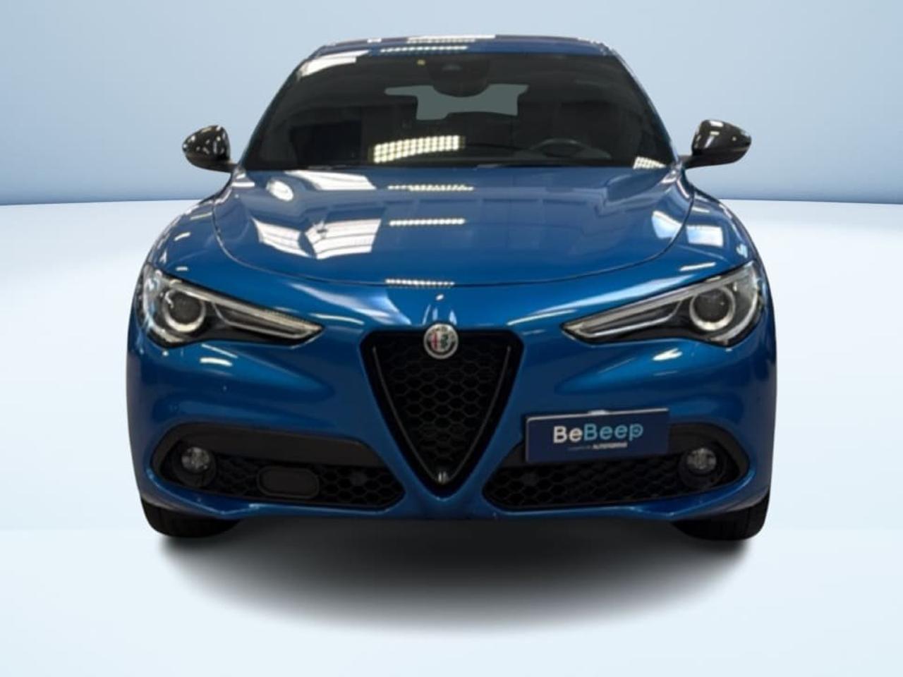 Alfa Romeo Alfa Romeo Stelvio usata 15