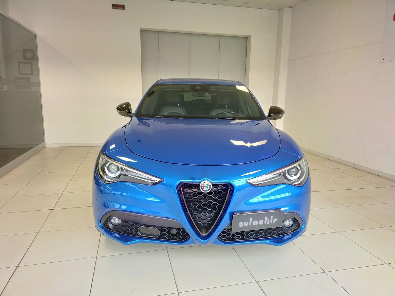 Alfa Romeo Alfa Romeo Stelvio usata 8