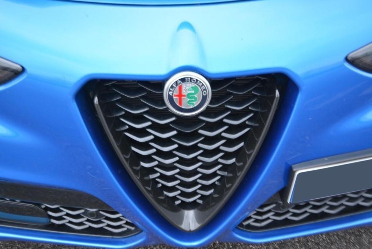 Alfa Romeo Alfa Romeo Stelvio usata 13