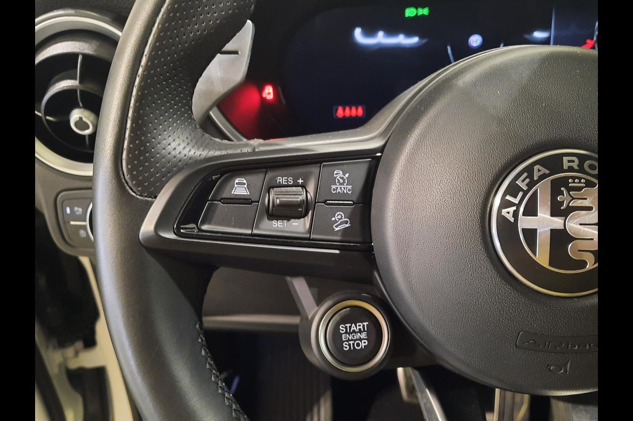 Alfa Romeo Alfa Romeo Stelvio usata 6