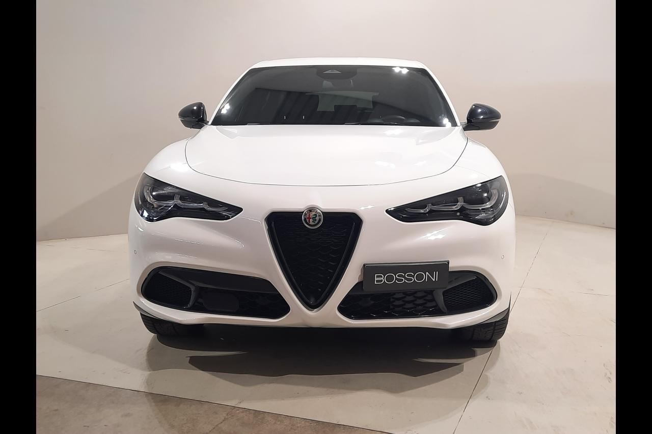 Alfa Romeo Alfa Romeo Stelvio usata 11