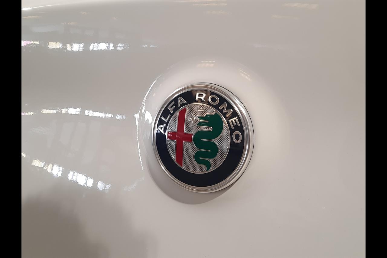Alfa Romeo Alfa Romeo Stelvio usata 19