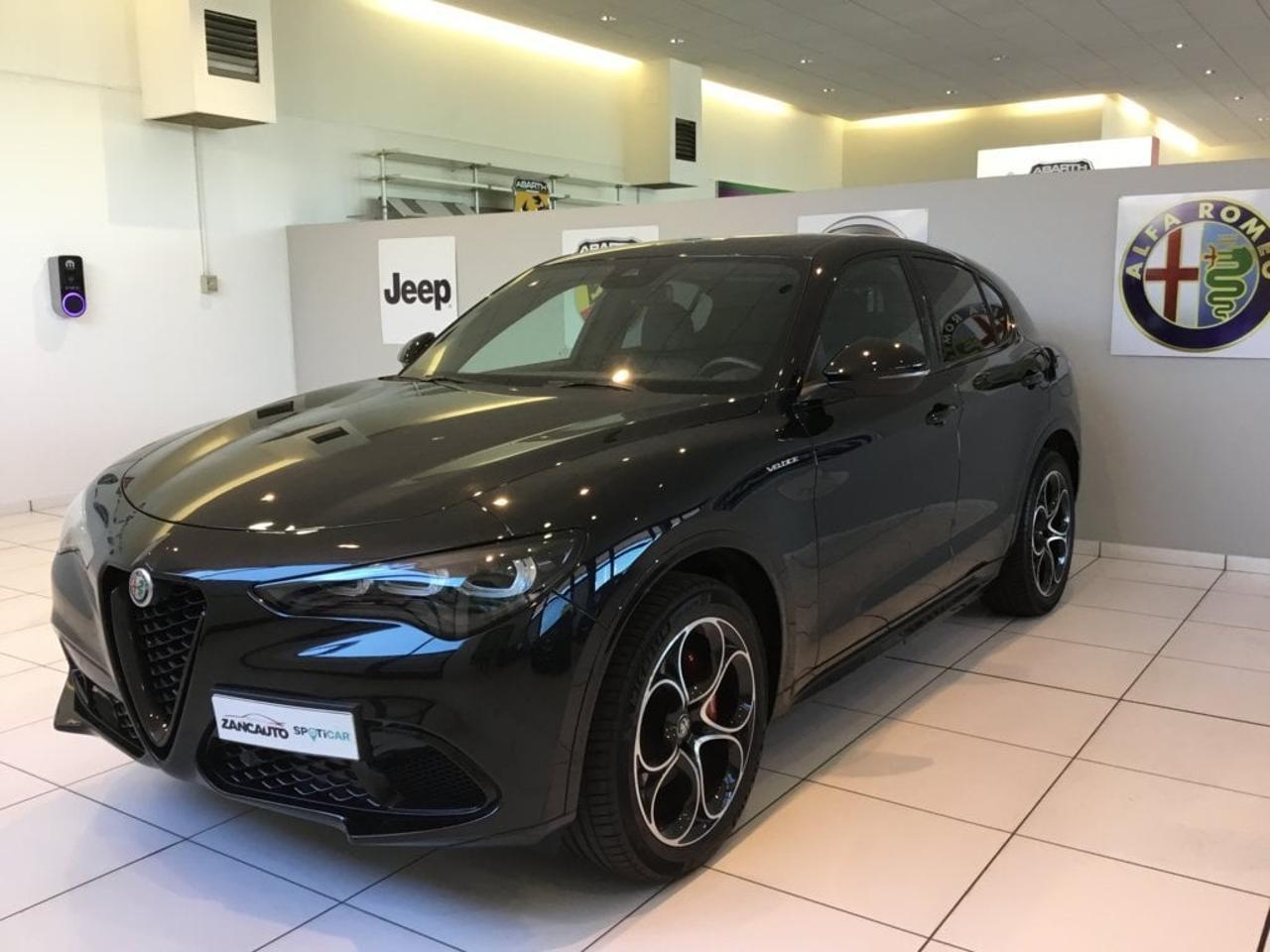 Alfa Romeo Alfa Romeo Stelvio usata 8