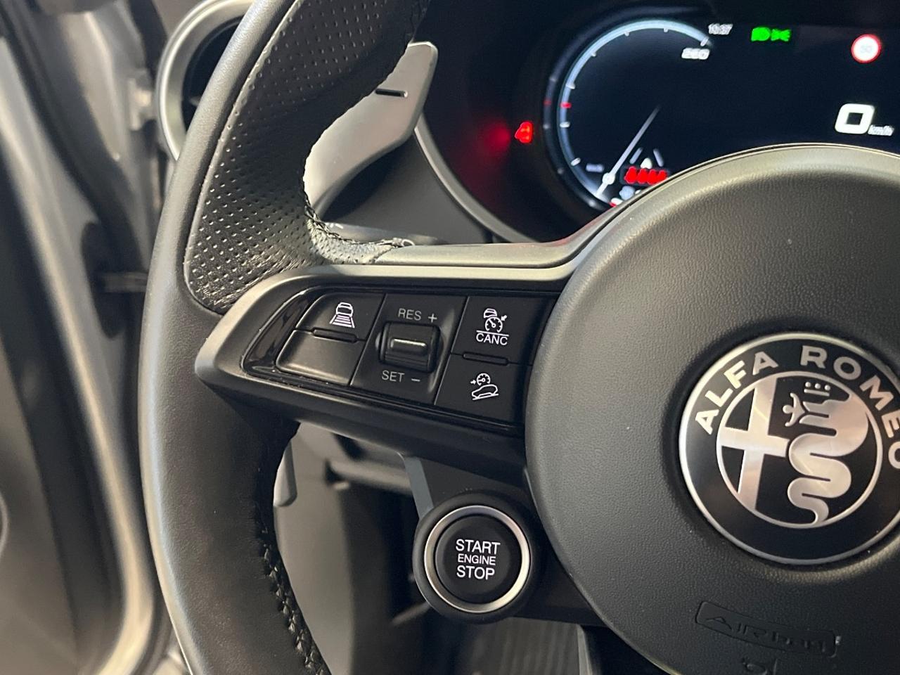 Alfa Romeo Alfa Romeo Stelvio usata 5