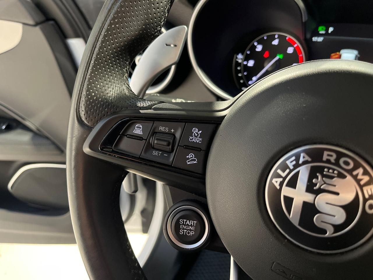 Alfa Romeo Alfa Romeo Stelvio usata 5