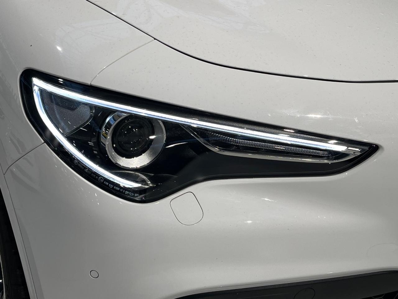 Alfa Romeo Alfa Romeo Stelvio usata 15