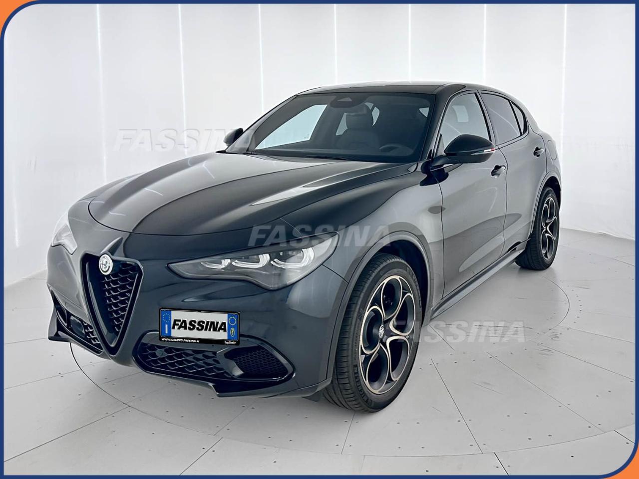 Alfa Romeo Alfa Romeo Stelvio usata 8