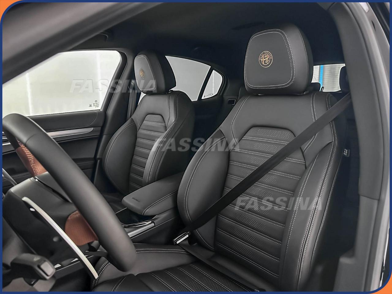 Alfa Romeo Alfa Romeo Stelvio usata 13