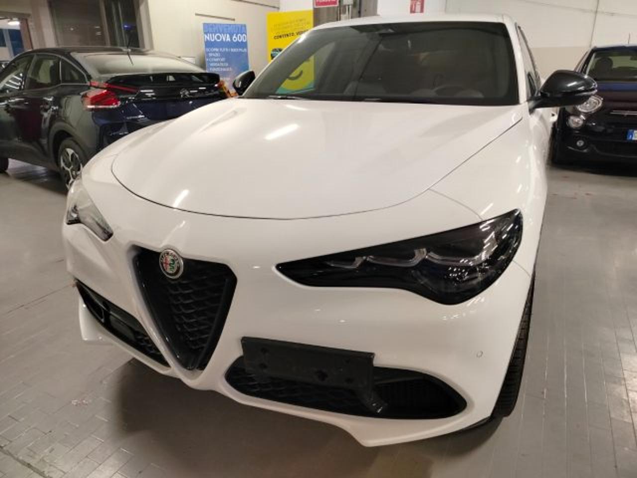 Alfa Romeo Alfa Romeo Stelvio usata 11