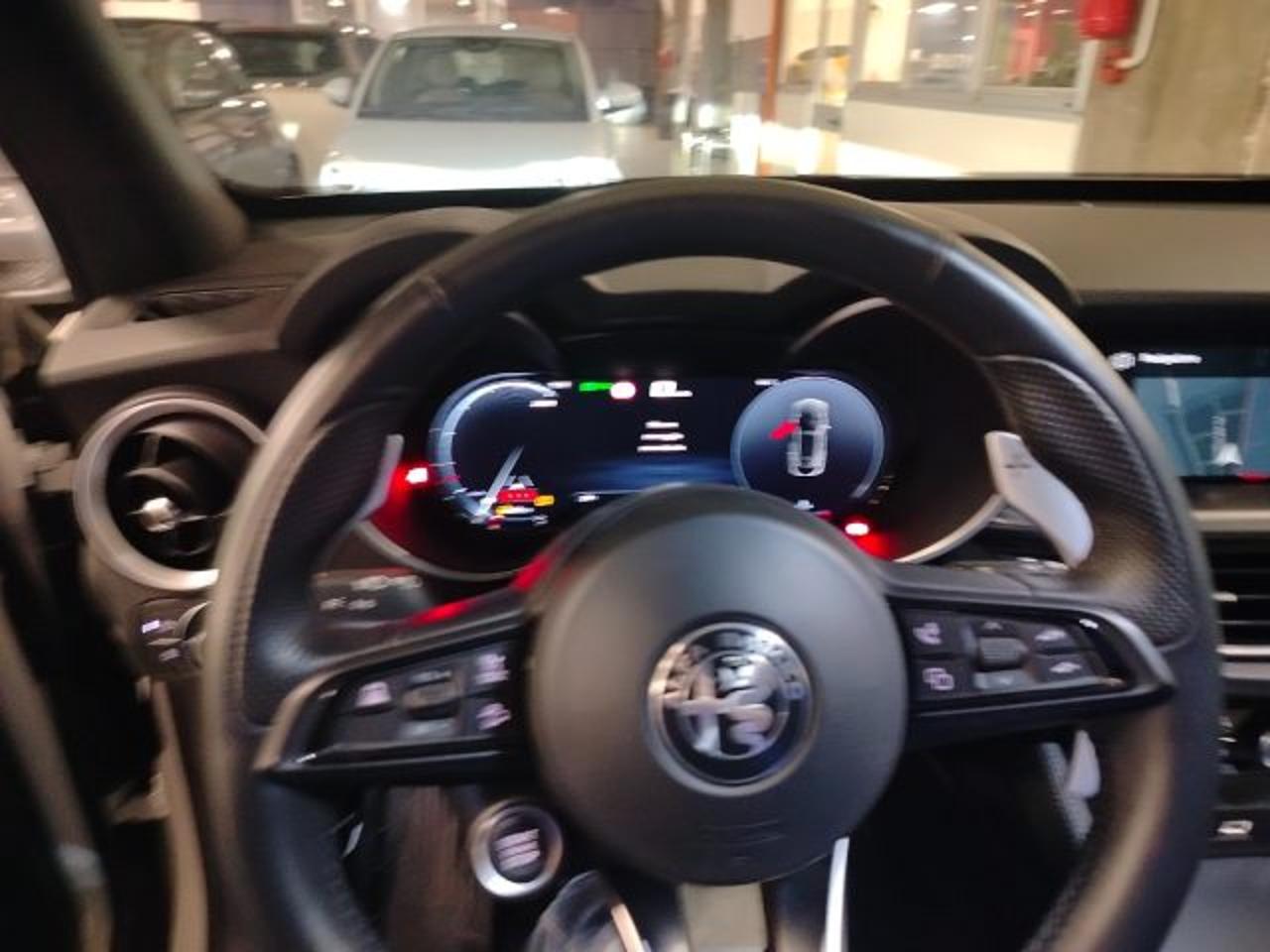 Alfa Romeo Alfa Romeo Stelvio usata 15