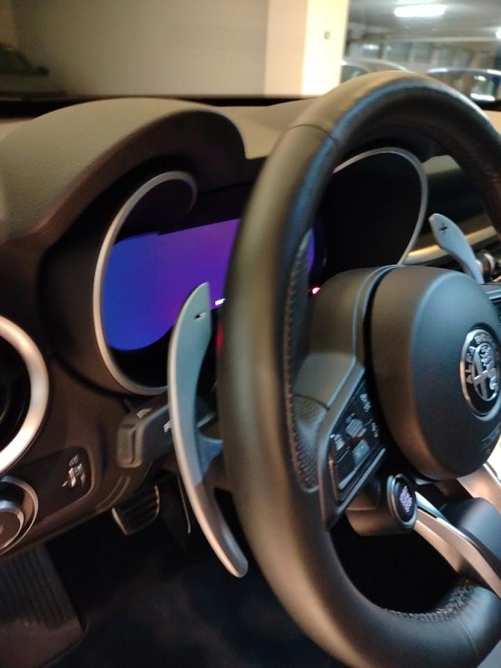 Alfa Romeo Alfa Romeo Stelvio usata 9