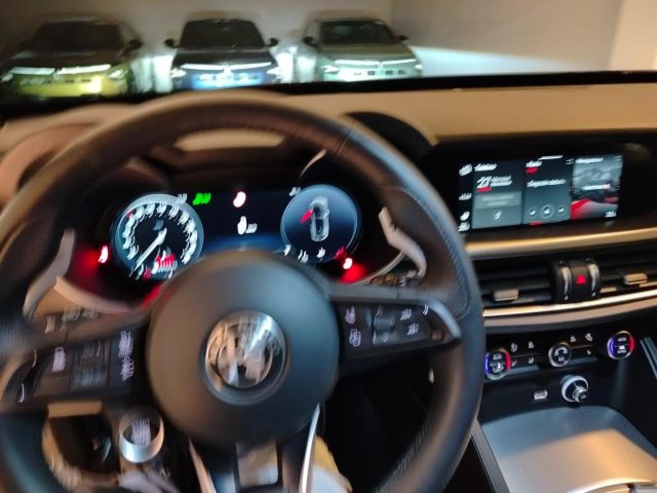 Alfa Romeo Alfa Romeo Stelvio usata 14