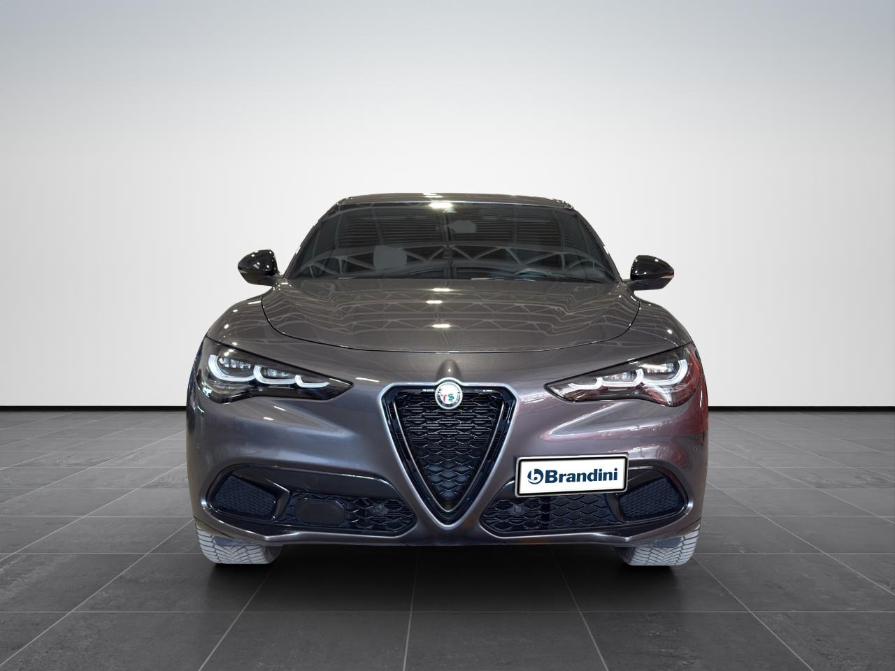 Alfa Romeo Alfa Romeo Stelvio usata 11